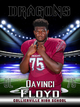 75_DavinciFloyd