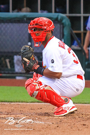 redbirds061315-132