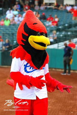 redbirds082716-047