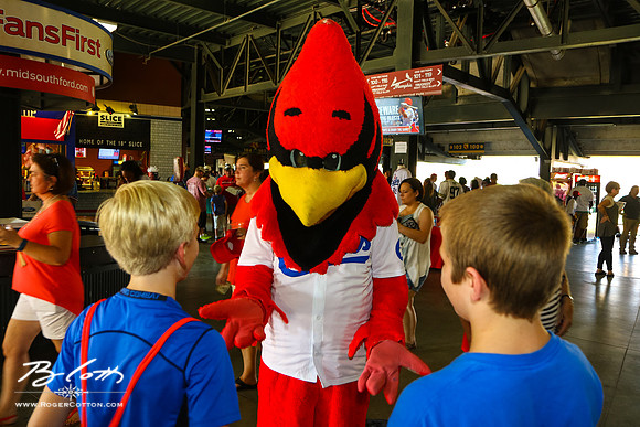redbirds082716-017