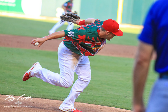 redbirds072515-089