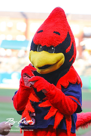 Redbirds 04-09-16-022