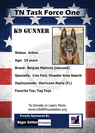 Gunner_Back