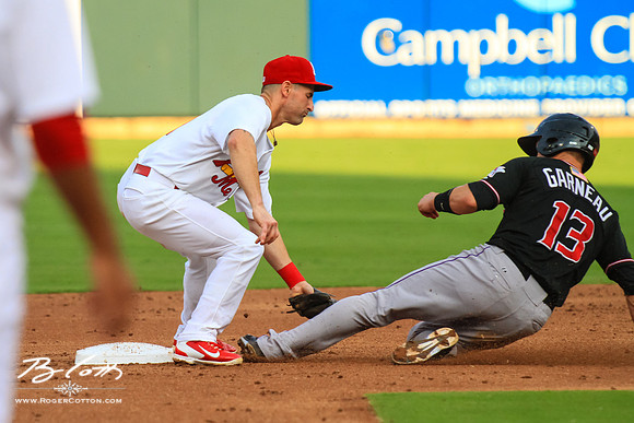 Redbirds_081515-104