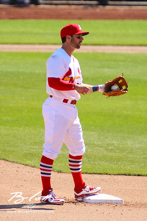 redbirds052216-082
