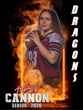 93_AydynCannon