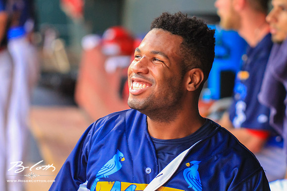 redbirds083115-060