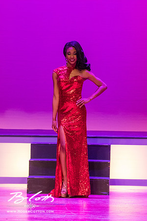 MissMem2016-500