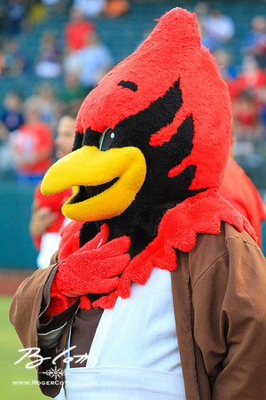 redbirds072715-051