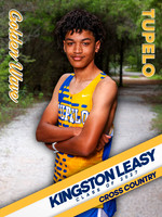 014_KingstonLeasy