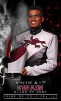 09_AnikaitSwain