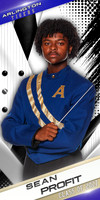12_SeanProfit