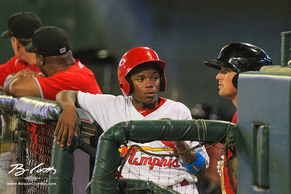 Redbirds082315-208