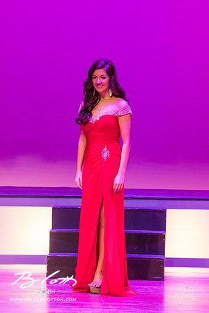 MissMem2016-415