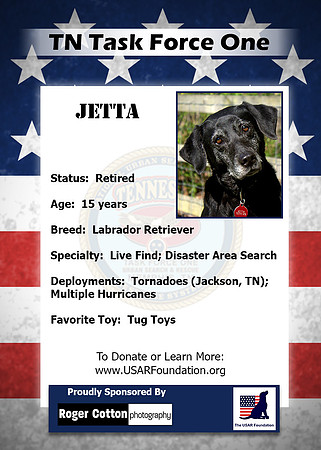 Jetta_Back