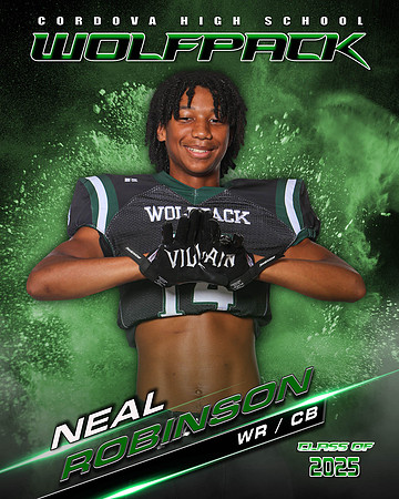 14_NealRobinson