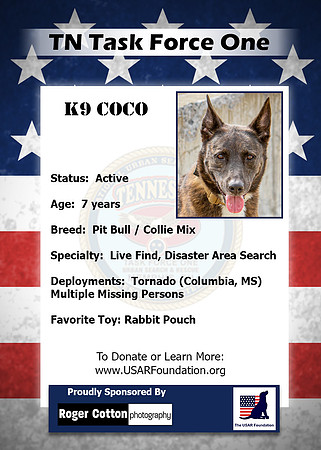 Coco_Back