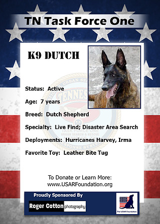 Dutch_Back