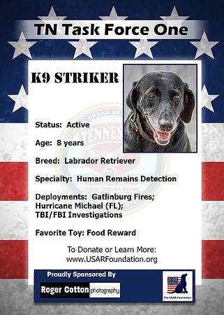 Striker_Back