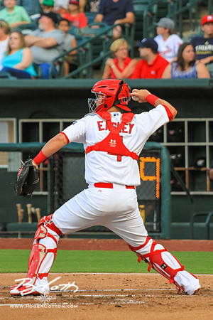 Redbirds081615-073