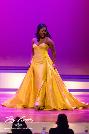 MissMem2016-375