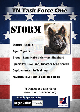 Storm_Back