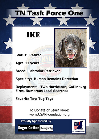 Ike_Back