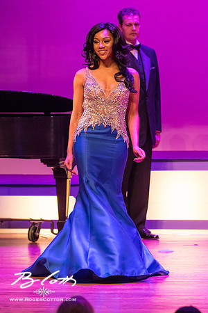 MissMem2016-478