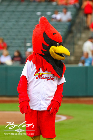 redbirds081316-044