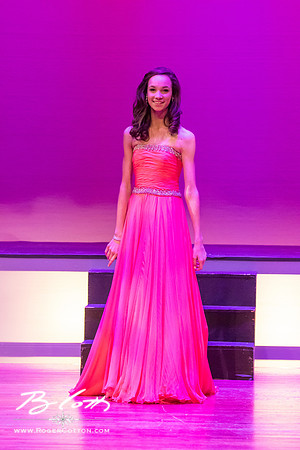 MissMem2016-387