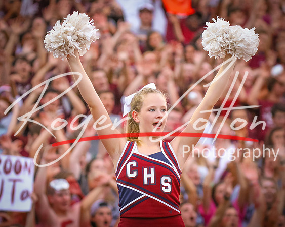 chs0819-137