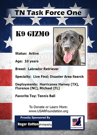 Gizmo_Back