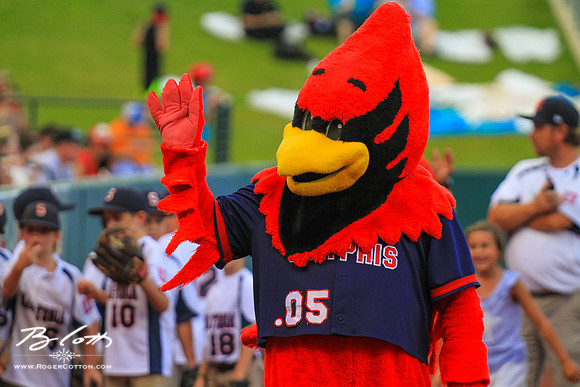 Redbirds081615-024