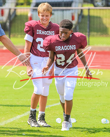 DAF_8331
