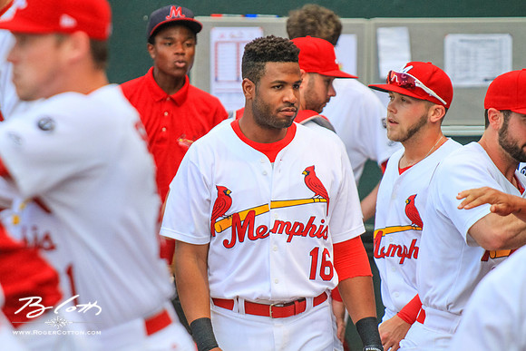 Redbirds081615-049