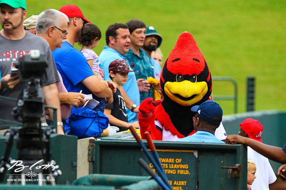 redbirds082516-024