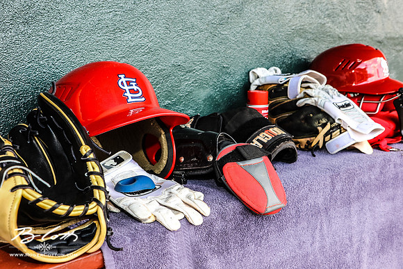 redbirds061816-023