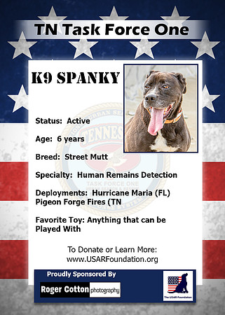 Spanky_Back