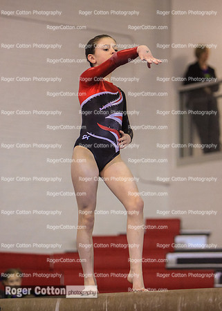 s3beam-330