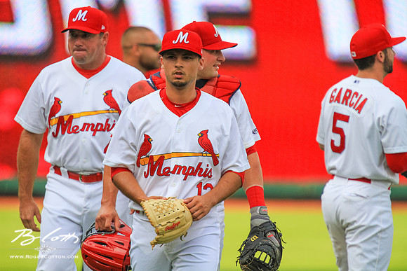 Redbirds_081515-058