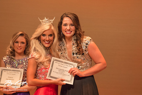 MissMem2016-587