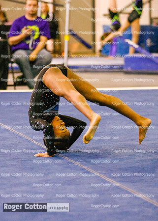 s3floor-194