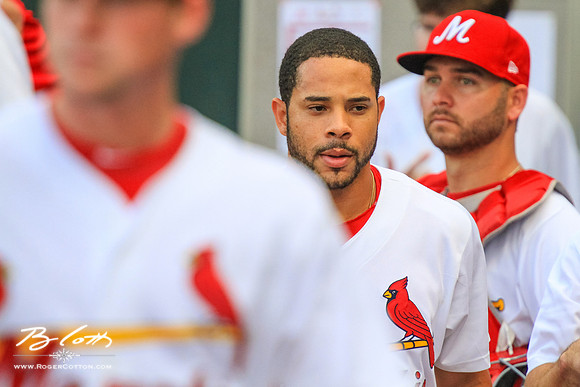 Redbirds081615-047
