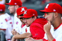 Redbirds-04-07-16-019
