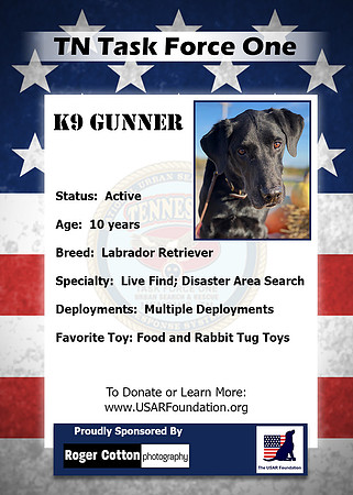 Gunner2_Back