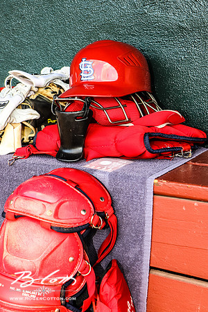redbirds061816-021
