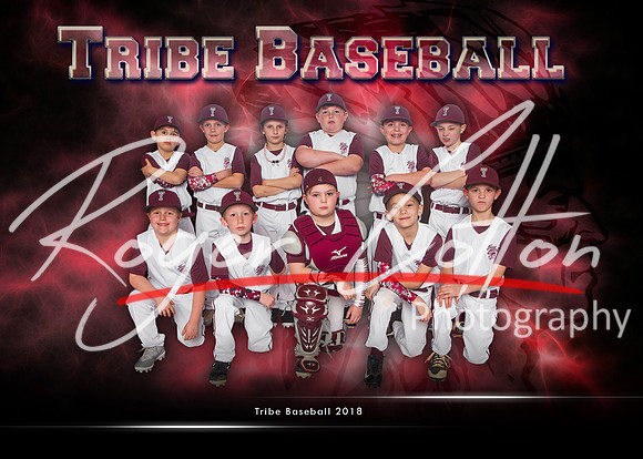TribeTeam
