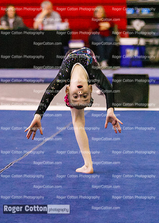 s3floor-186