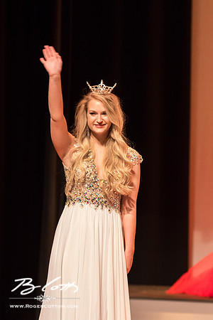 MissMem2016-543