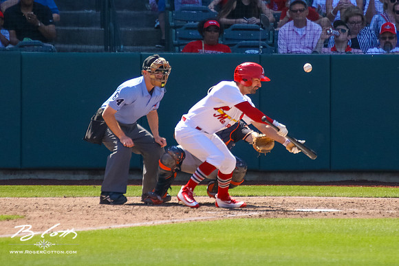 redbirds052216-067